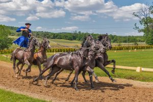 Best in 2026 Official Best Odds for Horse Racing Free Play: Pro Tips to Win in India (2026)