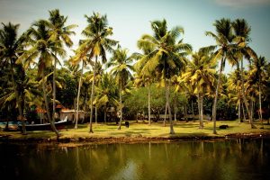 Online Betting App Reviews in Kerala Review 2026: Bonus, App, Withdrawal Tested